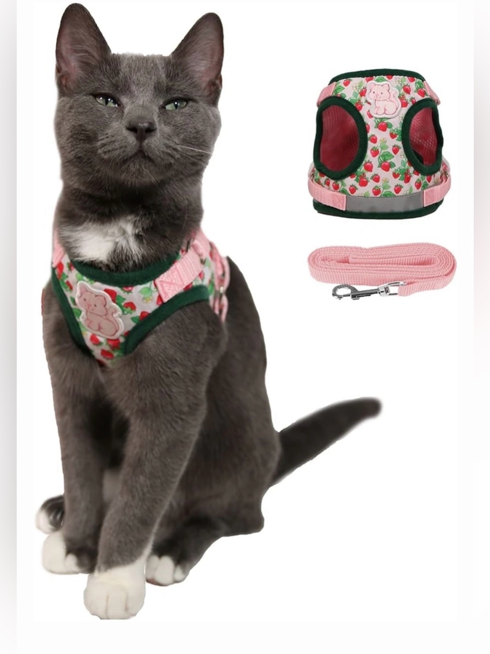 Limited edition travel cat strawberry shortcake harness and leash set - large